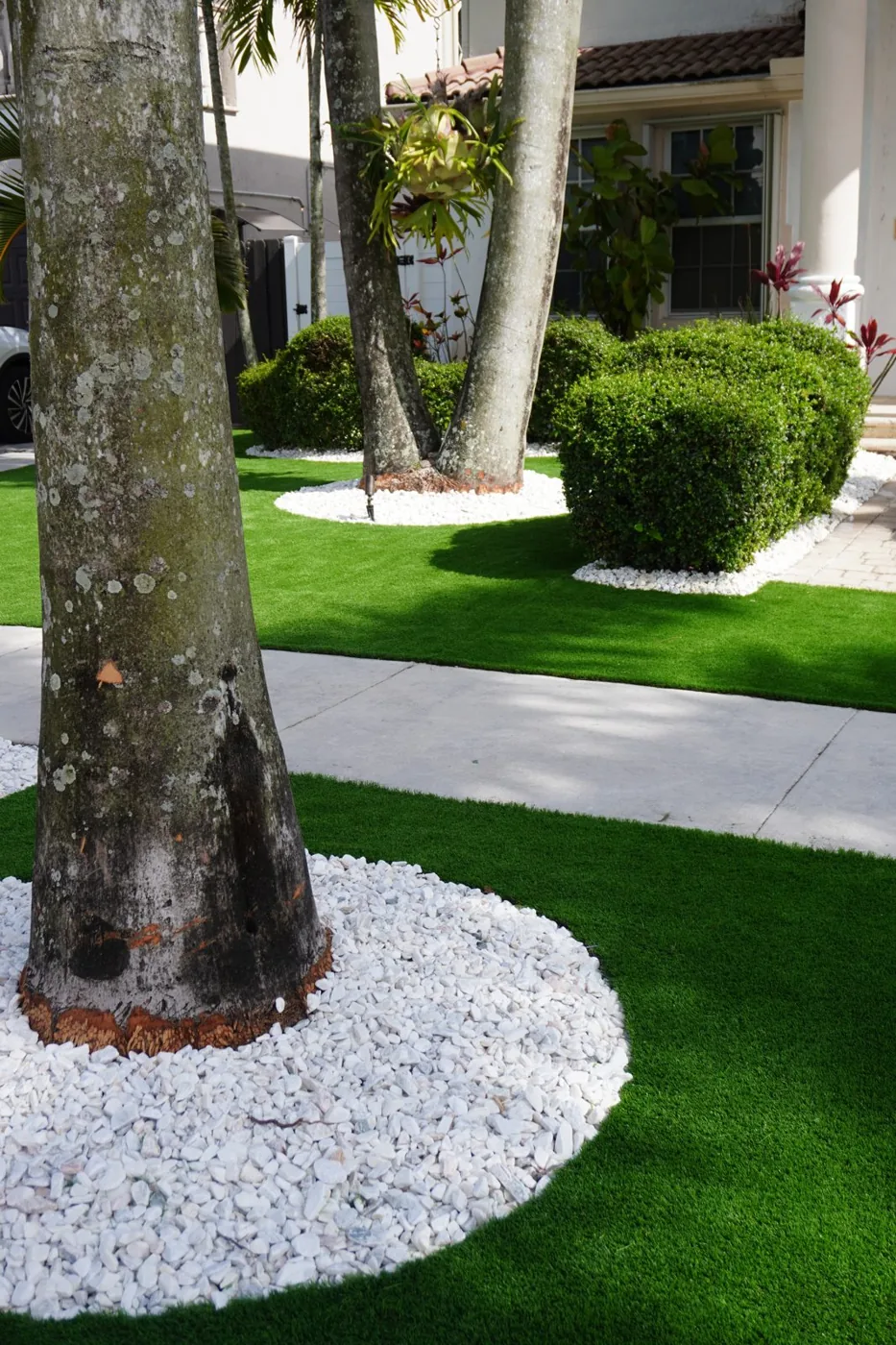 Palm tree with a decorative white rock ring set in artificial turf