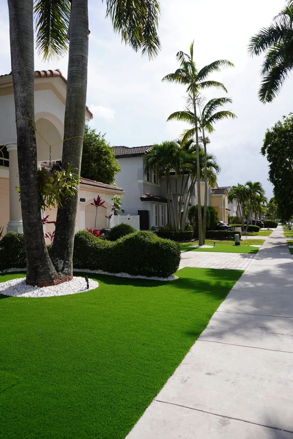 Fresh artificial turf walkway and hedges by M&R Outdoor Living